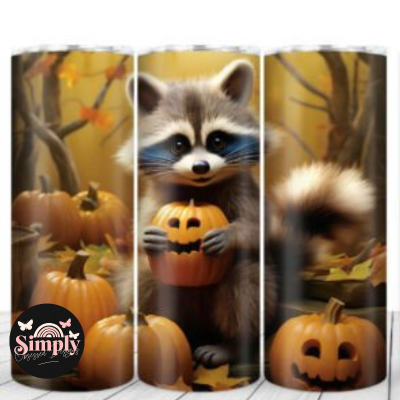 Fall baby  Raccoon