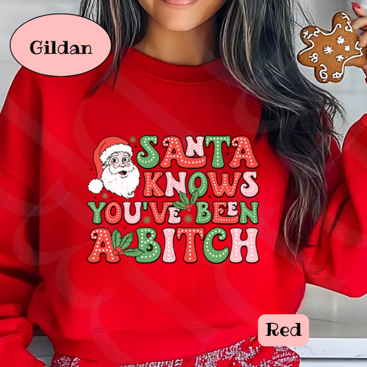 Santa knows you've been a B***h  Sweatshirt